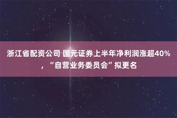浙江省配资公司 国元证券上半年净利润涨超40%，“自营业务委员会”拟更名