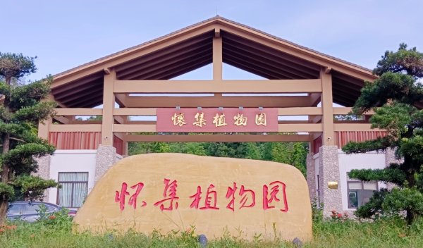 炒股开户在线股票配资平台 怀集私藏的绿景，又要出来刷屏了！